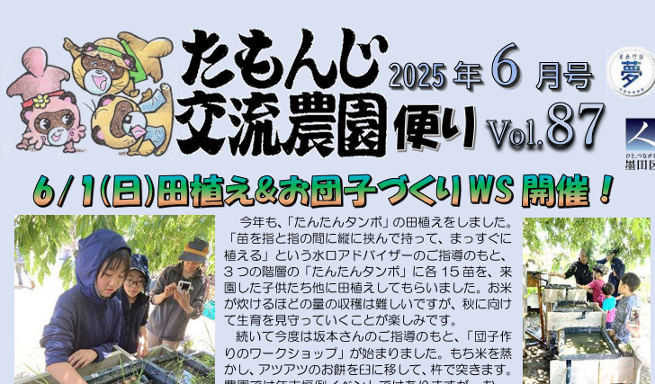 blog-image