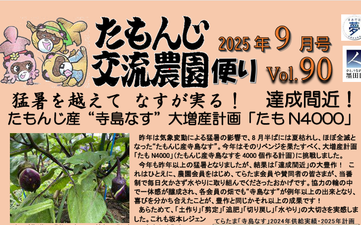 blog-image